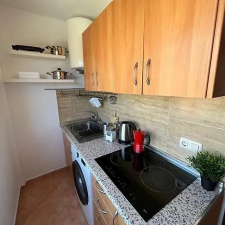 Atico Duplex Con Piscina Y Vista Al Mar 托雷莫利诺斯